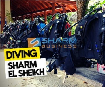 CENTRO DIVING A SHARM